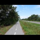 Nur selten schützte Bewuchs etwas